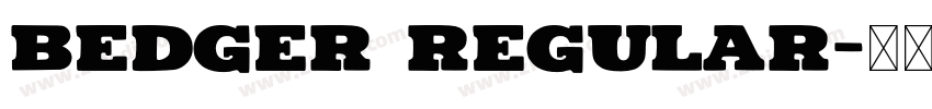 Bedger Regular字体转换